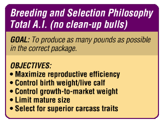 Purple, round-cornered box with gold fill. It reads: Breeding & Selection Philosophy Total A.I. (no clean-up bulls) Goal: to produce as many pounds as possible in the correct package. Objectives: Maximize reproductive efficiency; Control birth weight/live calf; Control growth-to-market weight; Limit mature size; Select for superior carcass traits.