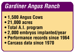 Same purple/gold box design. It reads: Gardiner Angus Ranch: 1,500 Angus Cows; 21,000 acres; Total A.I. program; 2,000 embryos implanted/year; Performance records since 1964; Carcass data since 1970.