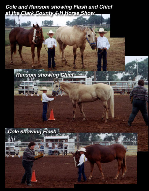 A photo montage: Cole and Ransom showing Flash and Chief at the Clark County 4-H Horse Show; Ransom showing Chief; Cole showing Flash.