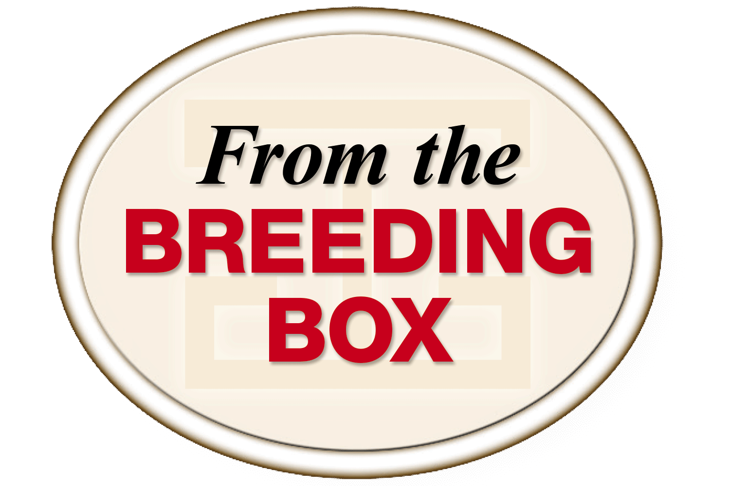 From the Breeding Box