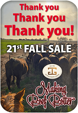Fall Sale 2025 Thank You art