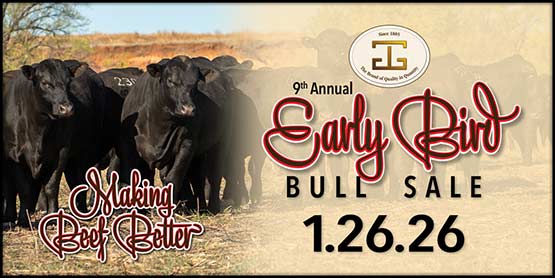 January Sale Artwork