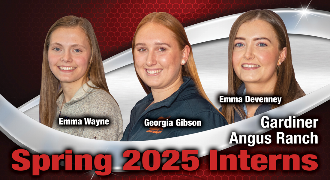 Spring 2025 Interns