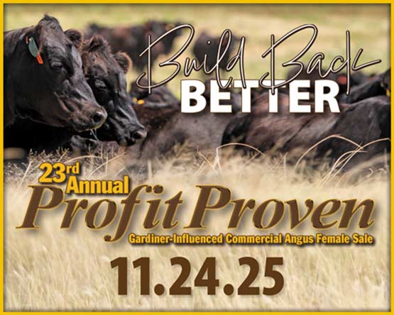 Profit Proven Sale artwork