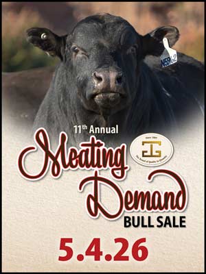 2026 Meating Demand Sale art