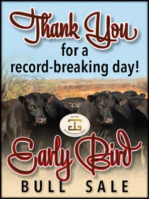 Early Bird Sale 2026 Sale Thank You art