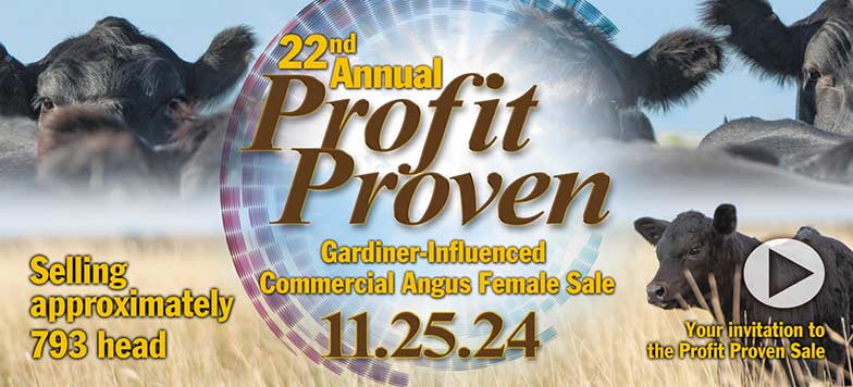 Profit Proven Sale Artwork