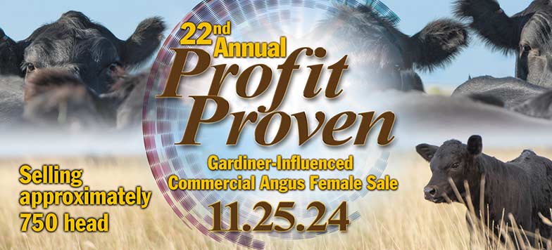 Profit Proven Sale Artwork