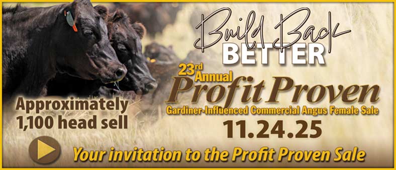 Profit Proven Sale Artwork